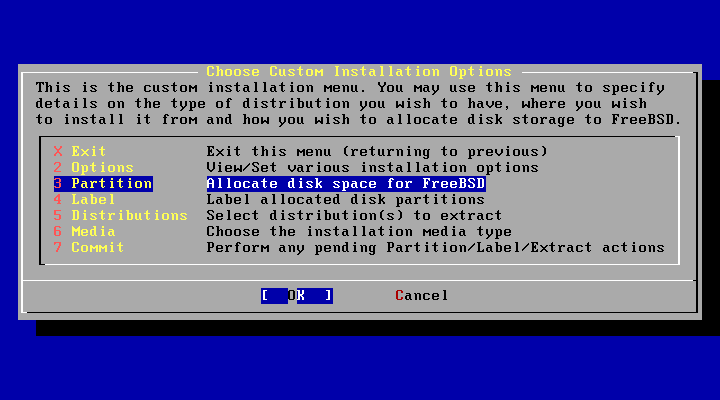 custom_installation_options_partition